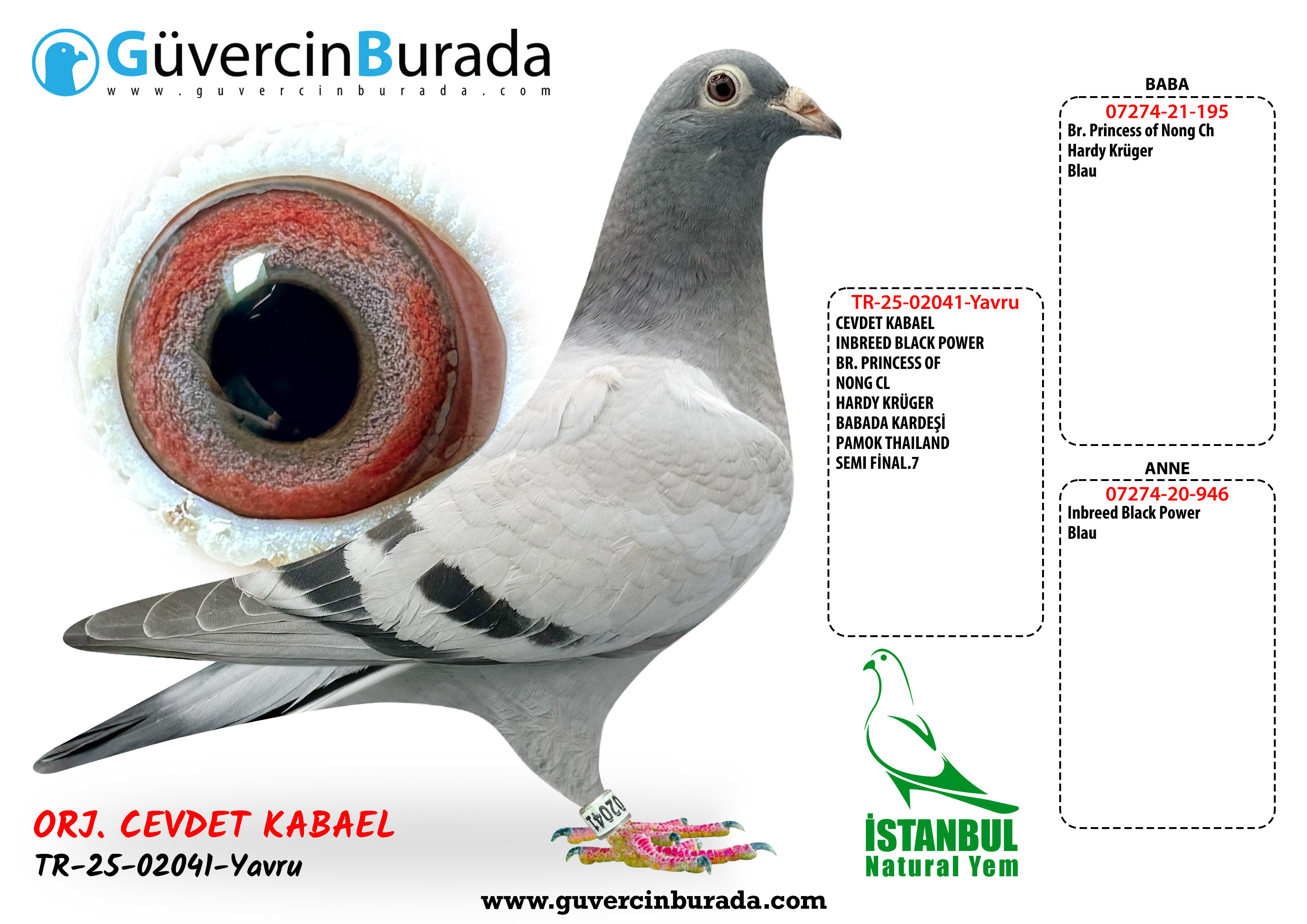 Ürün Resmi