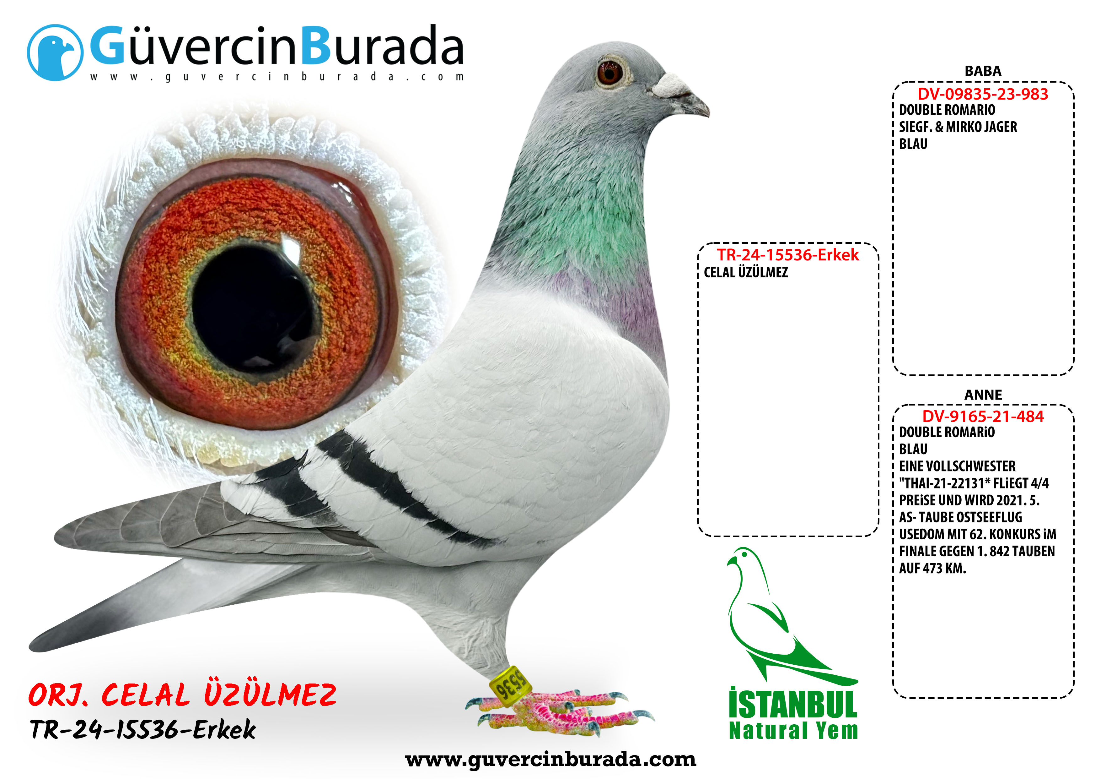 Ürün Resmi