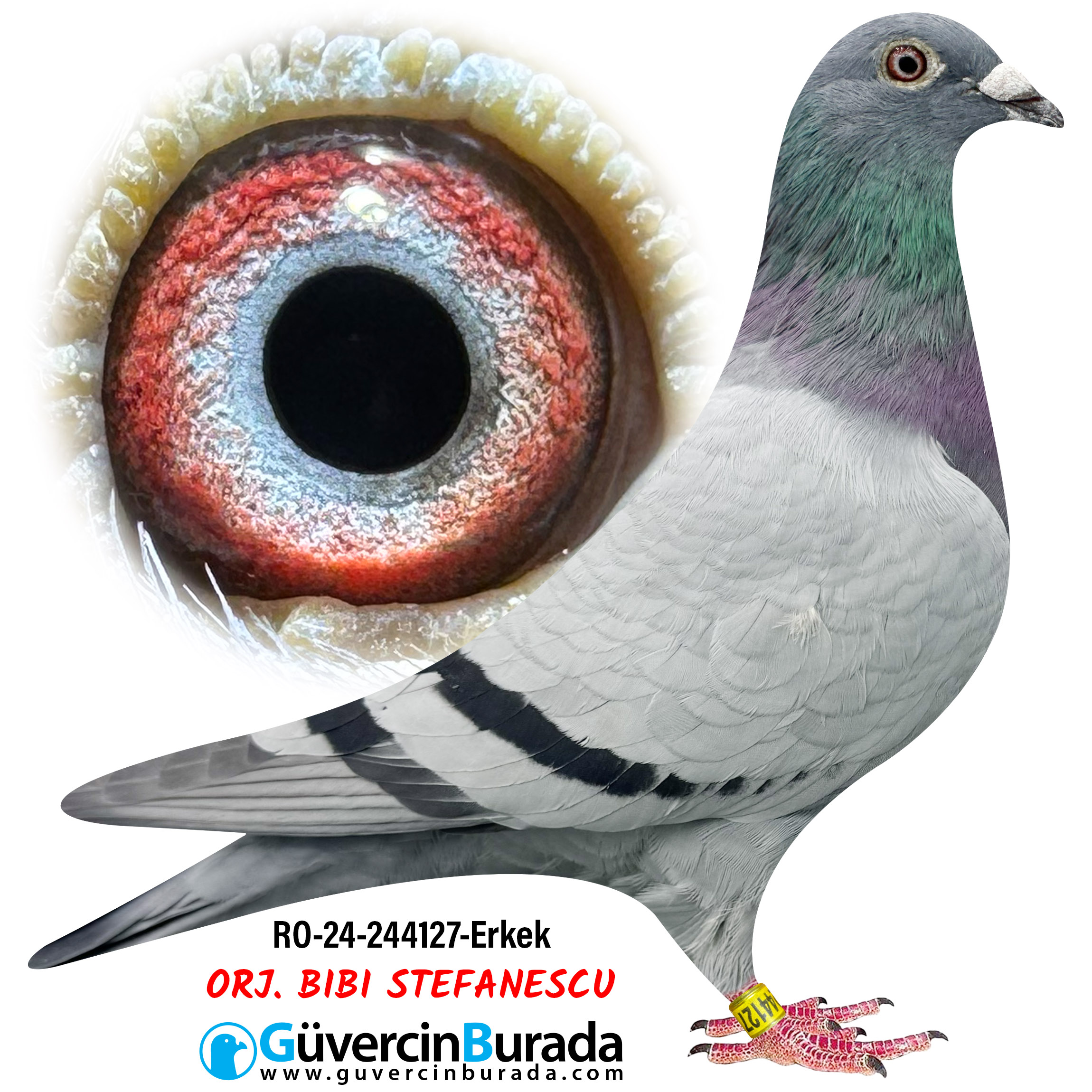 Ürün Resmi