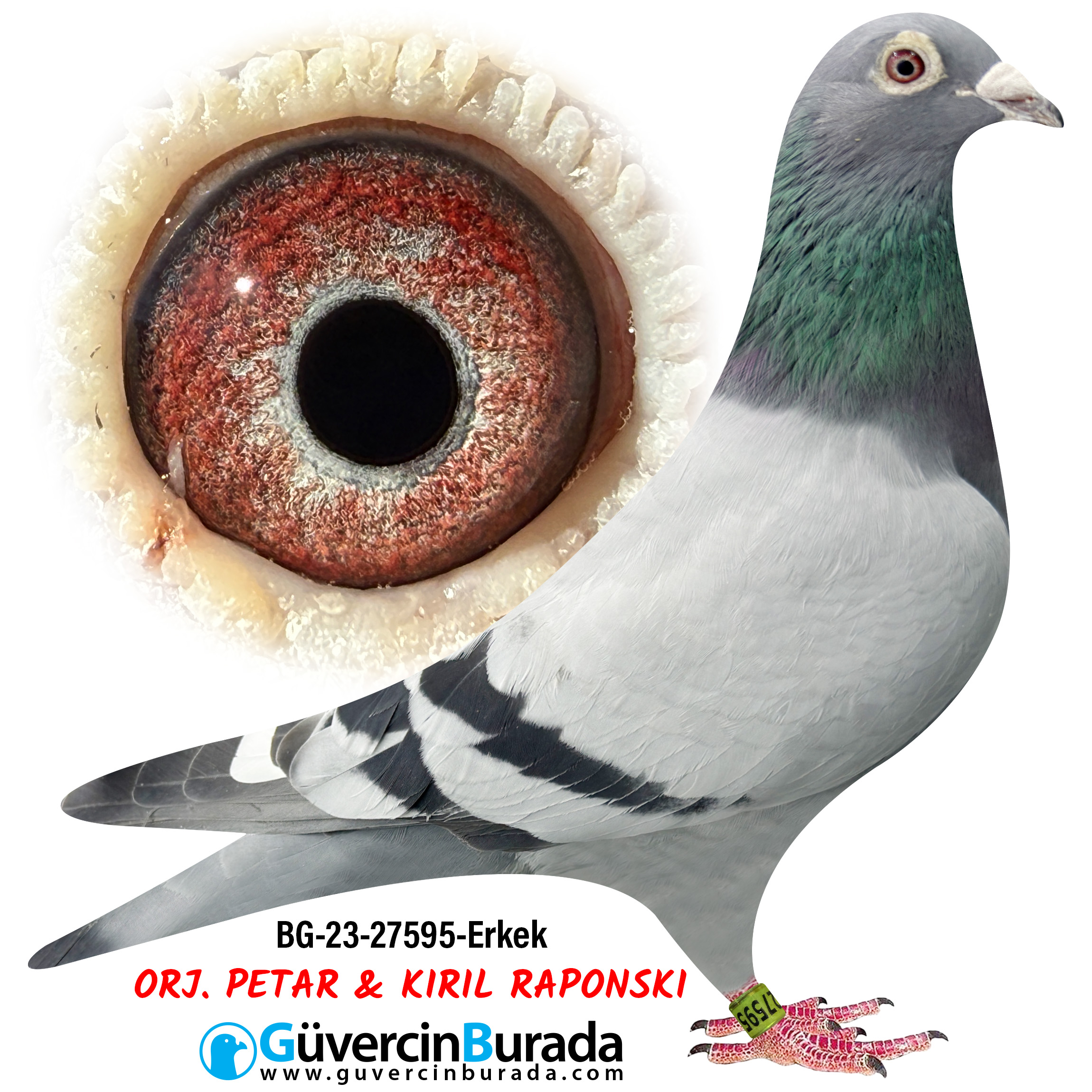 Ürün Resmi