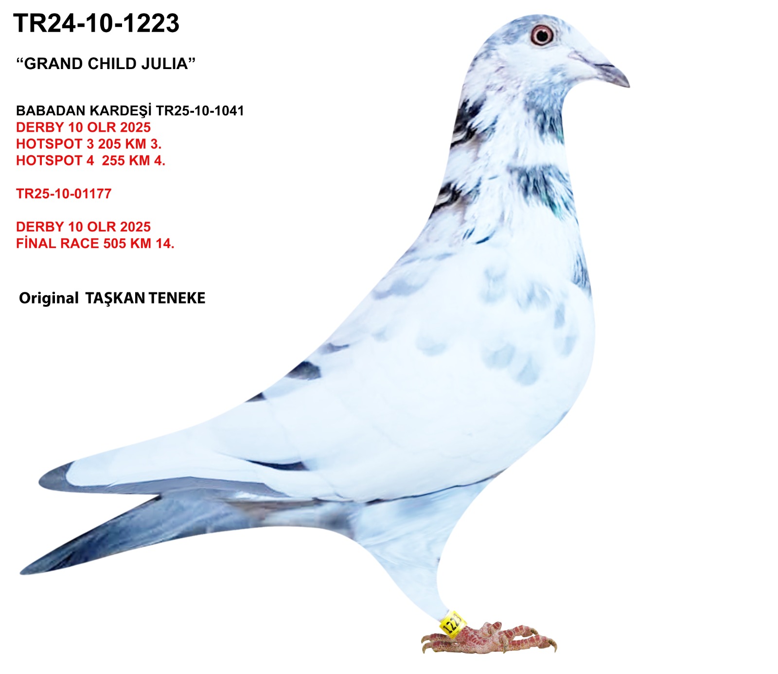 Ürün Resmi