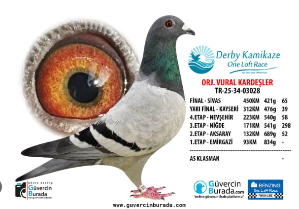 Ürün Resmi