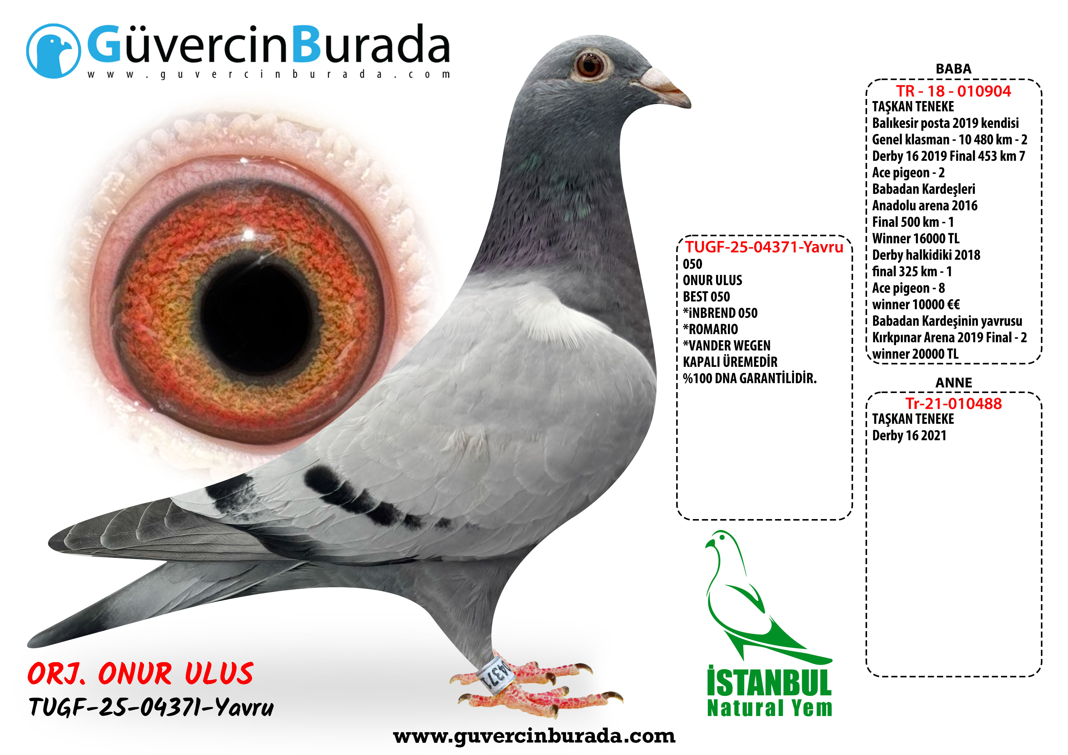 Ürün Resmi