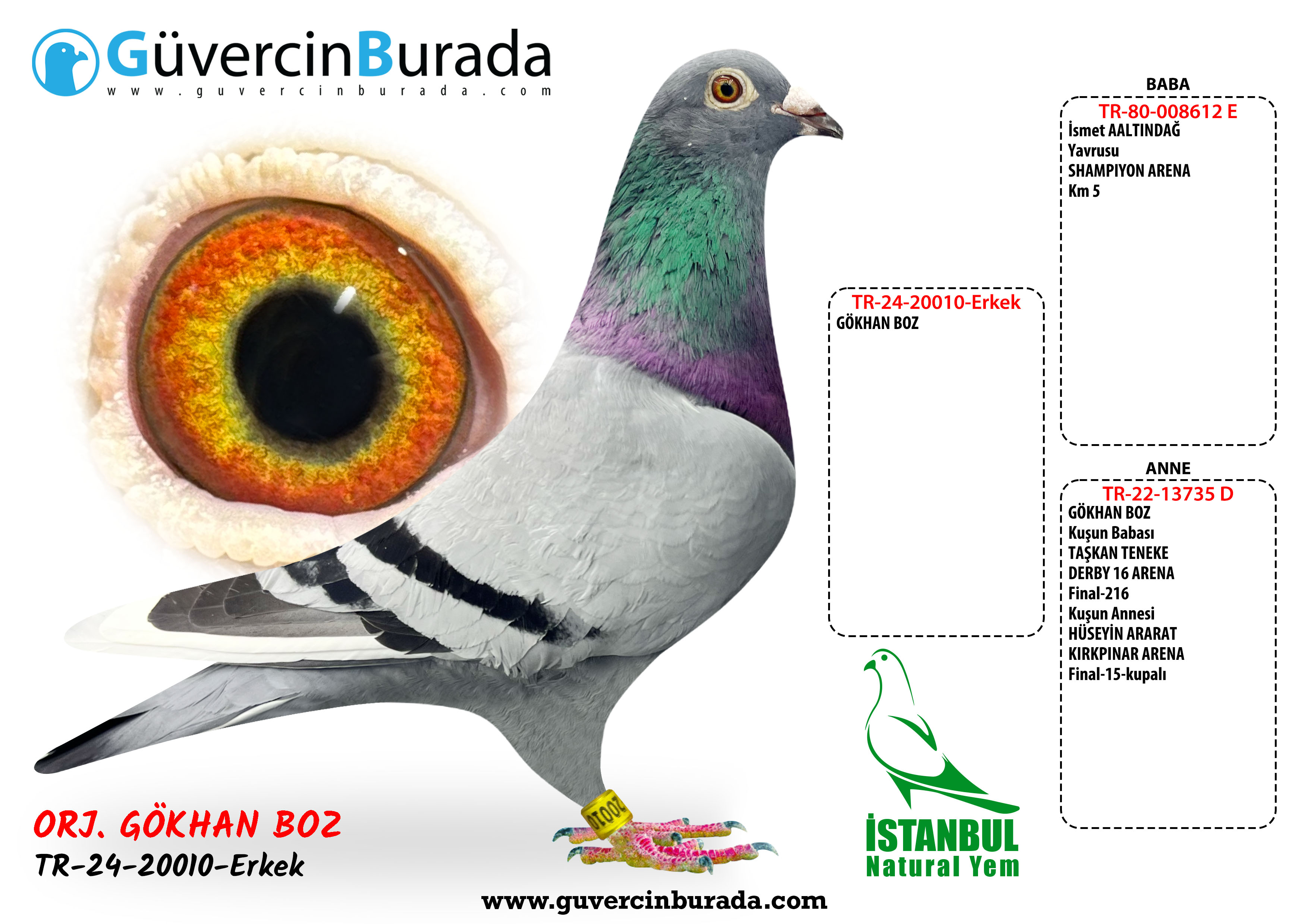 Ürün Resmi