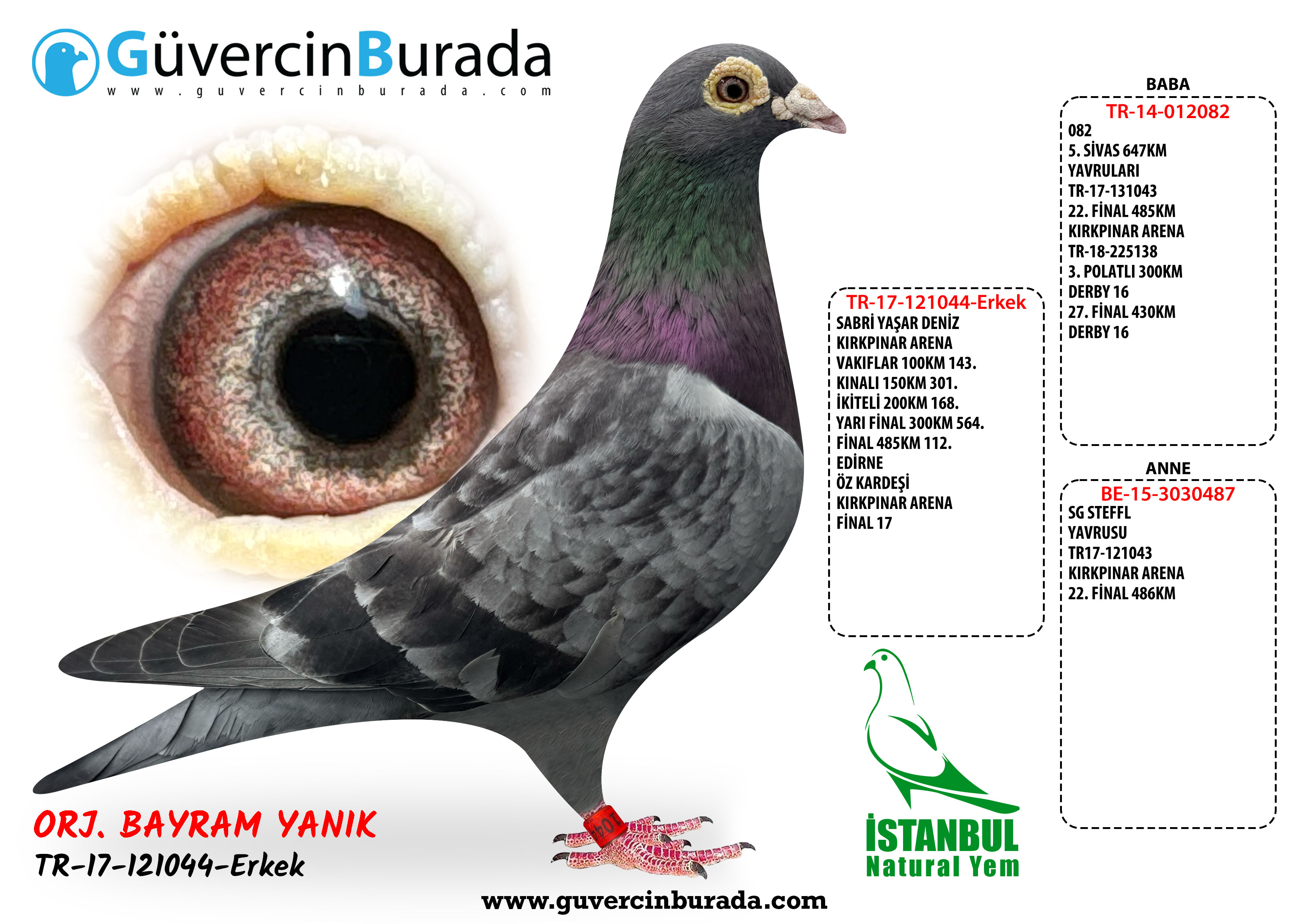 Ürün Resmi