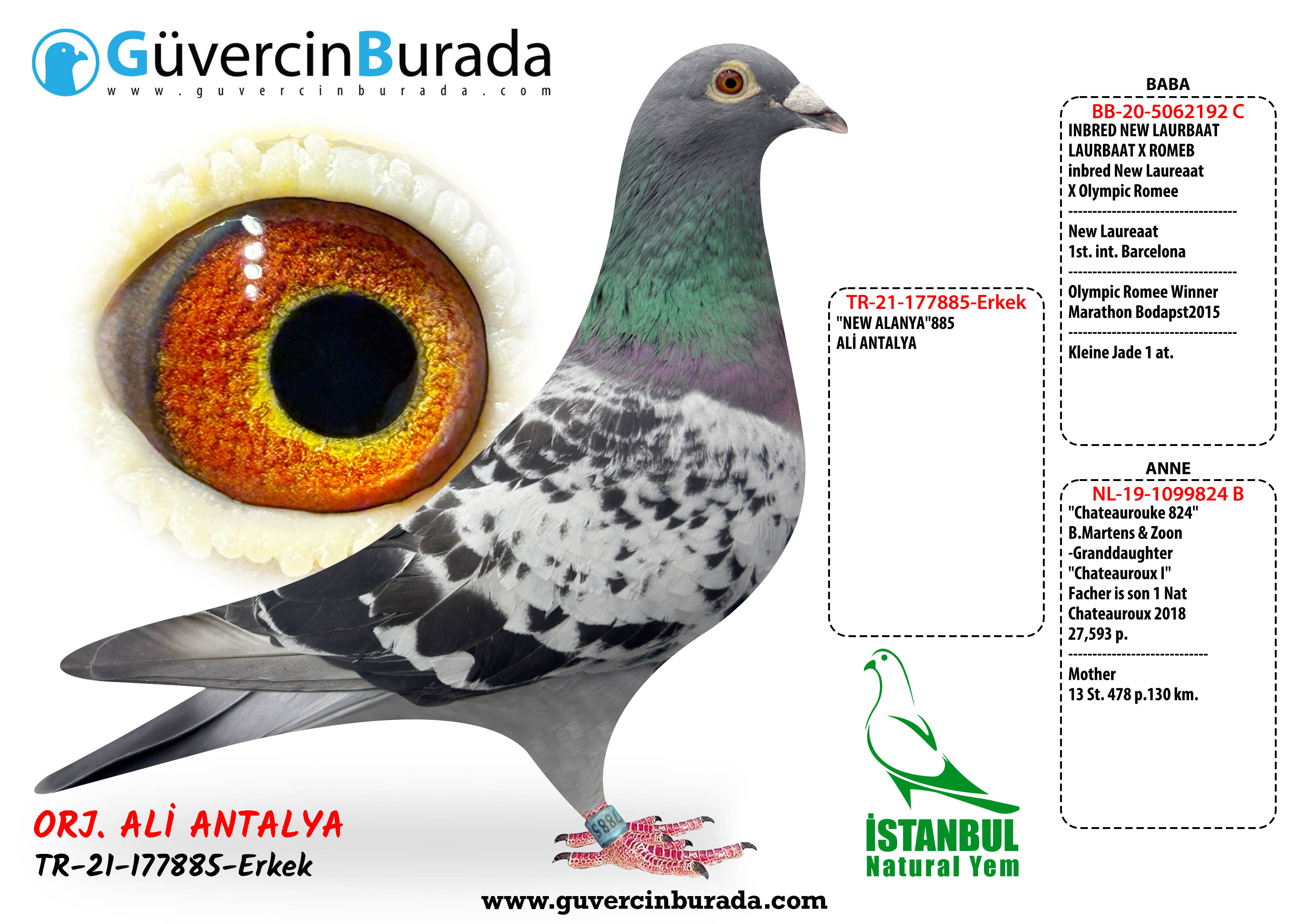 Ürün Resmi