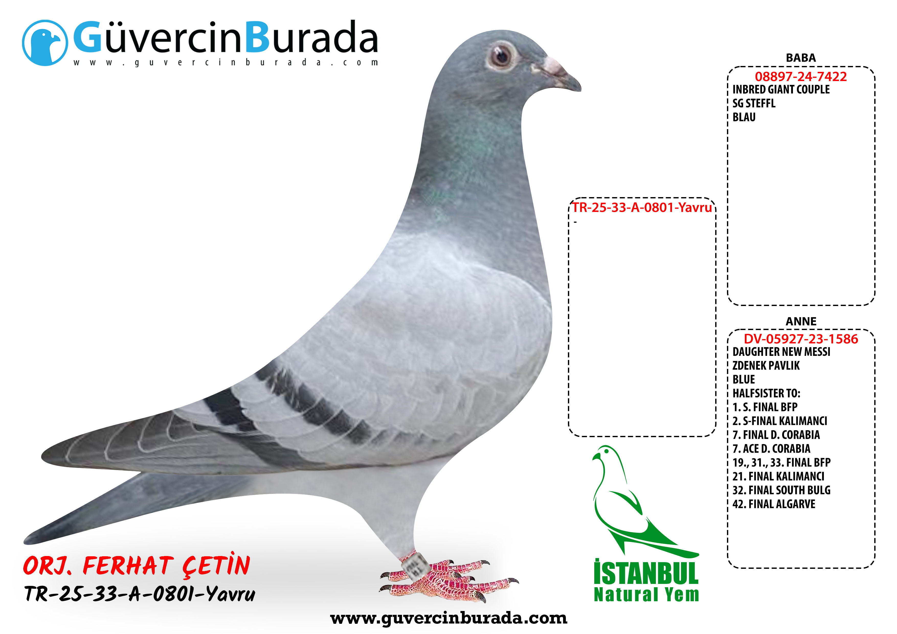 Ürün Resmi