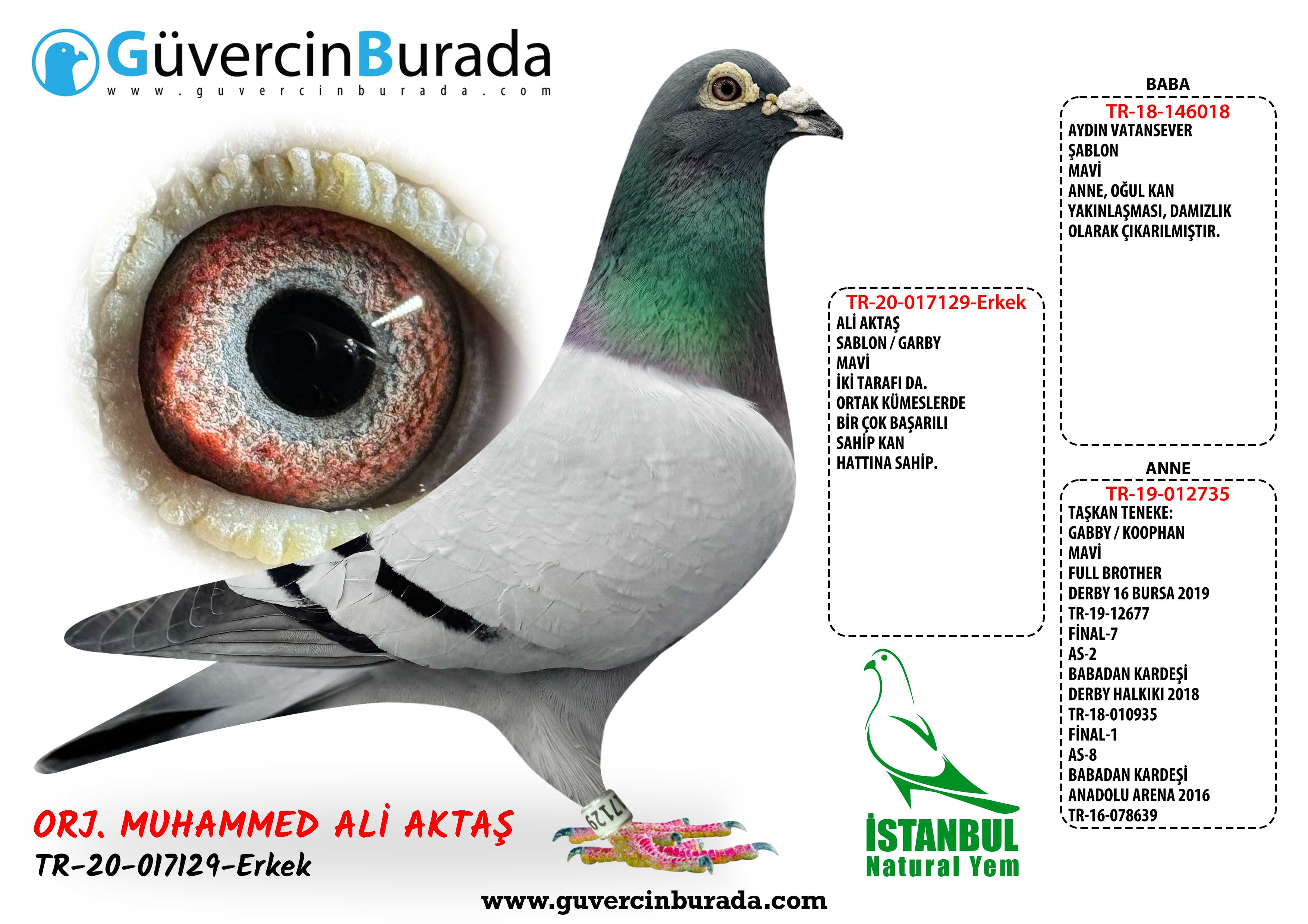 Ürün Resmi
