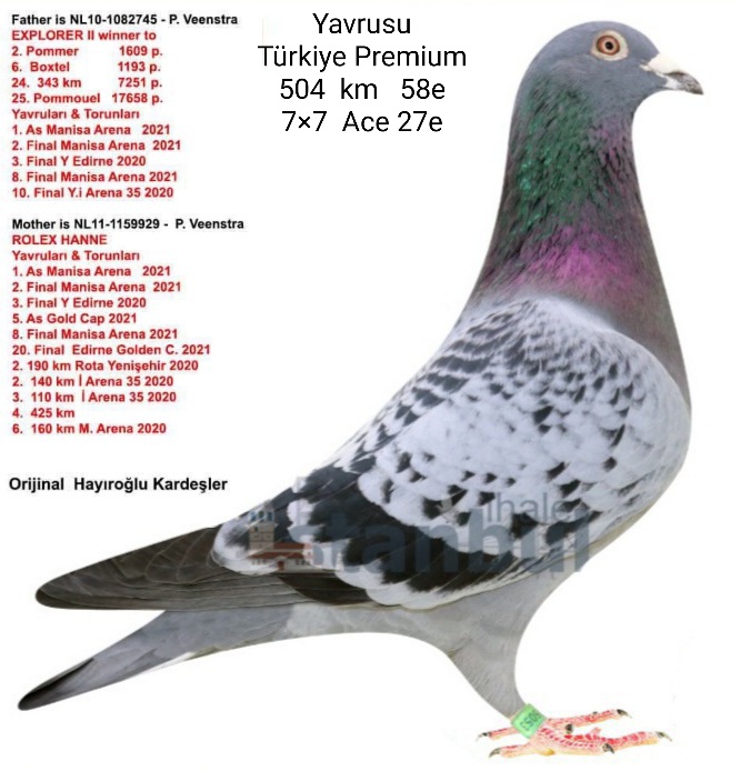 Ürün Resmi
