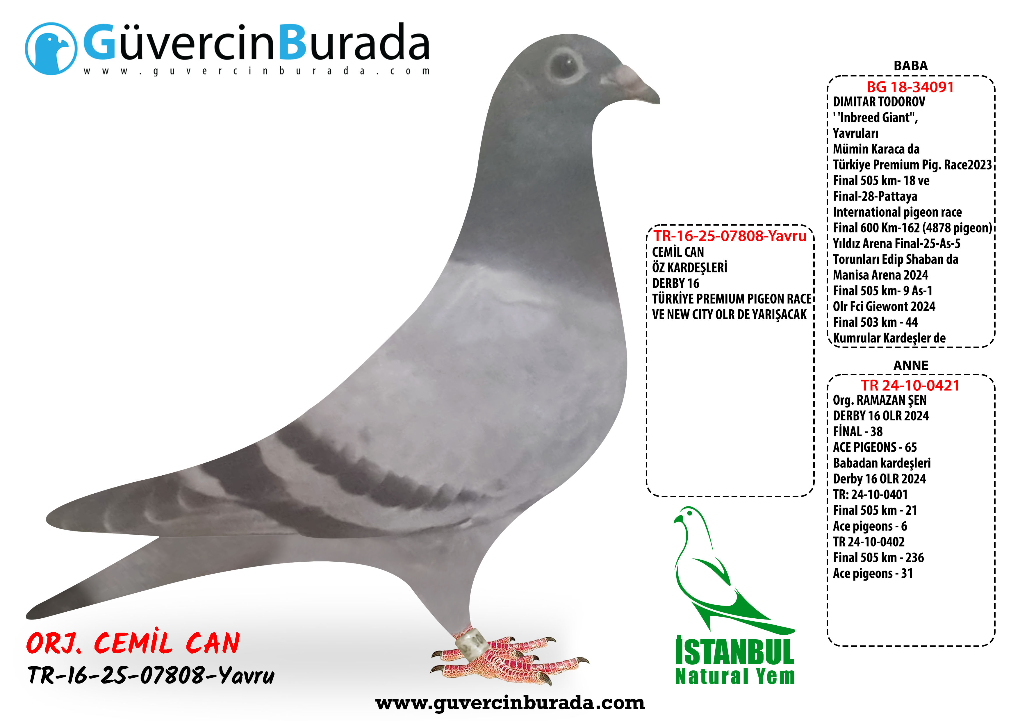 Ürün Resmi